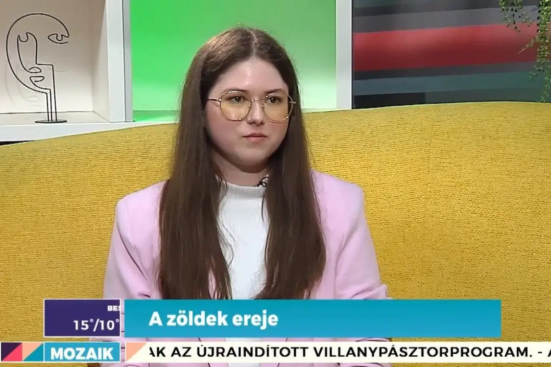 tavaszi zoldek ereje